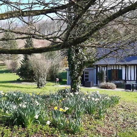 Les Orchidees Sauvages Touffreville-la-Corbeline