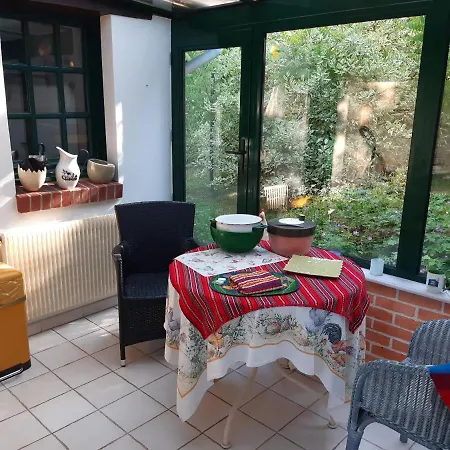 Les Orchidees Sauvages