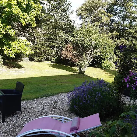 Les Orchidees Sauvages *