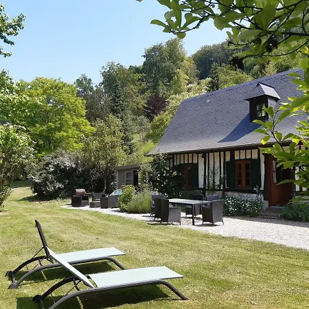 Les Orchidees Sauvages * Touffreville-la-Corbeline