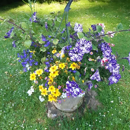 Les Orchidees Sauvages Tatil Evi Touffreville-la-Corbeline