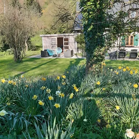 Les Orchidees Sauvages Tatil Evi *